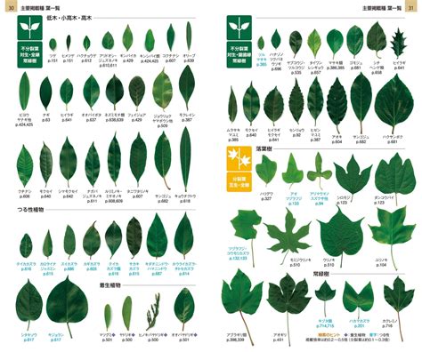 木名|樹木検索図鑑：名前一覧（50音順）